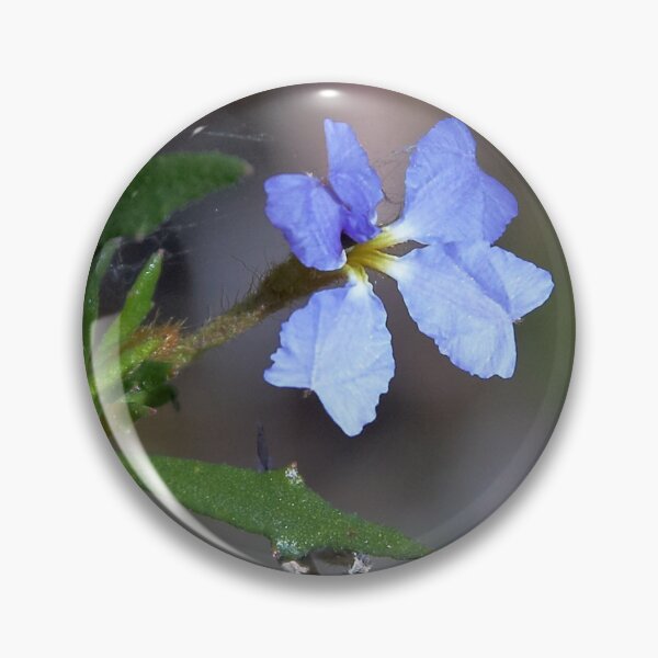 Item preview, Dampiera stricta (Blue Dampiera) designed and sold by Robert Elliott.