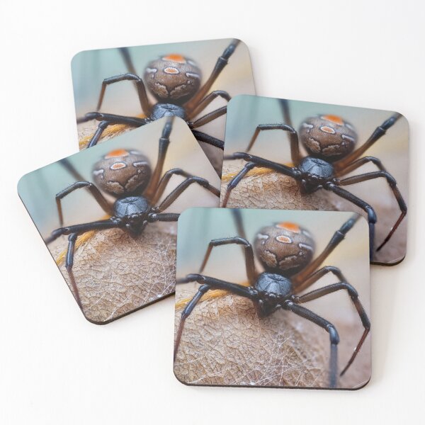 Item preview, Latrodectus Hasselti Black spider extreme closeup  designed and sold by hendrikspix.
