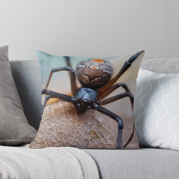 Item preview, Latrodectus Hasselti Black spider extreme closeup  designed and sold by hendrikspix.