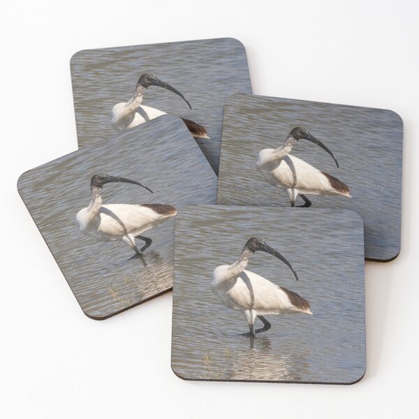 Item preview, Australian White Ibis designed and sold by Robert Elliott.