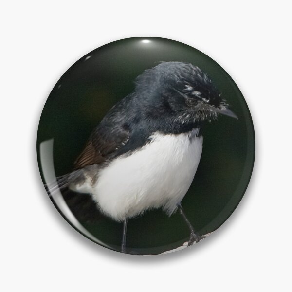 Item preview, Willie Wagtail designed and sold by Robert Elliott.