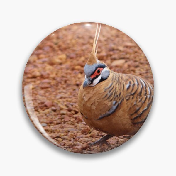 Item preview, Spinifex Pigeon designed and sold by Robert Elliott.