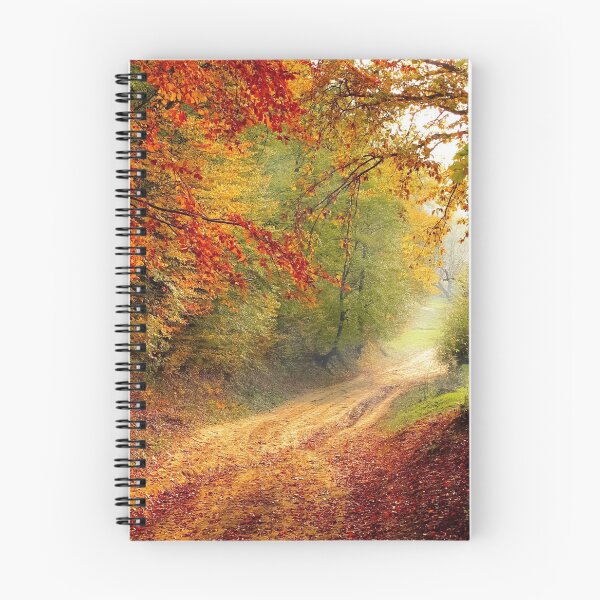 Item preview, Road in the forest designed and sold by Keno185.