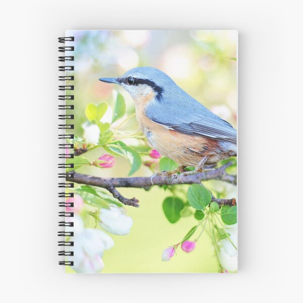 Item preview, Spring bird designed and sold by Keno185.