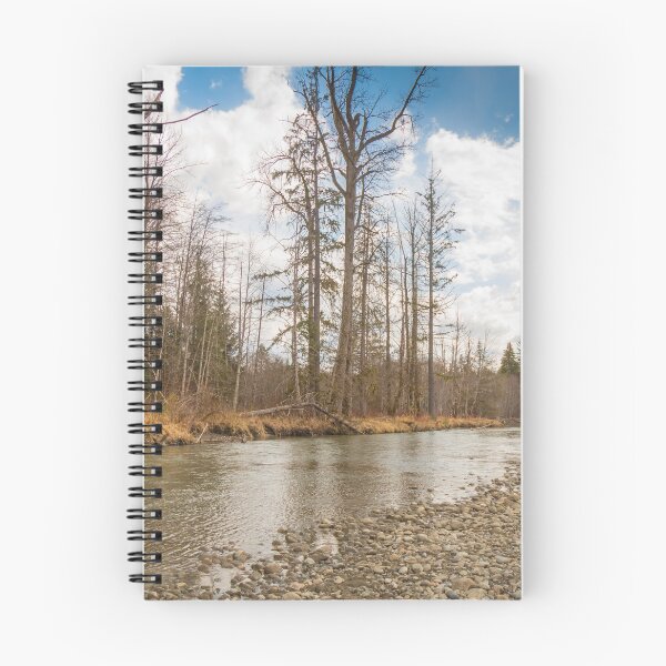 Item preview, Beautiful small stream in British Columbia, Canada, in the Spring designed and sold by SnapTPhotograph.