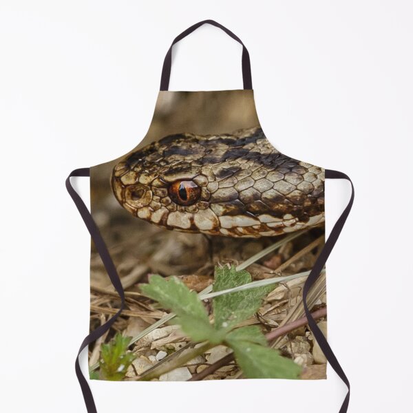 Item preview, Adder head designed and sold by Dalyndigital Photography.