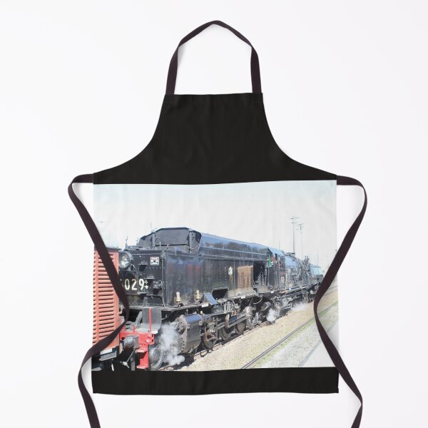 Item preview, NSWR 6029 view from the rear designed and sold by RogerRoy.