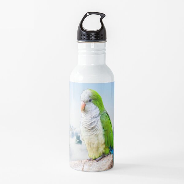 Monk Parakeet Water Bottle
