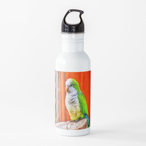 Monk Parakeet Water Bottle