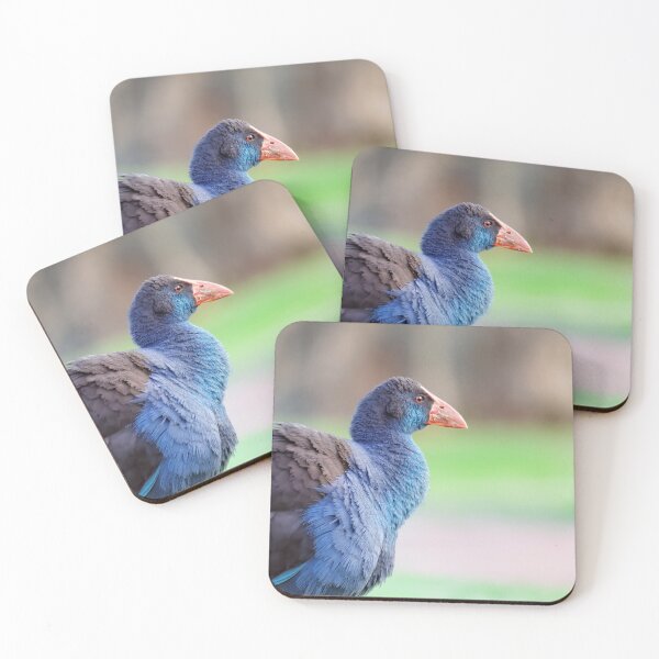 Item preview, Detailed Australian Purple Swamphen close up in the late evening designed and sold by hendrikspix.