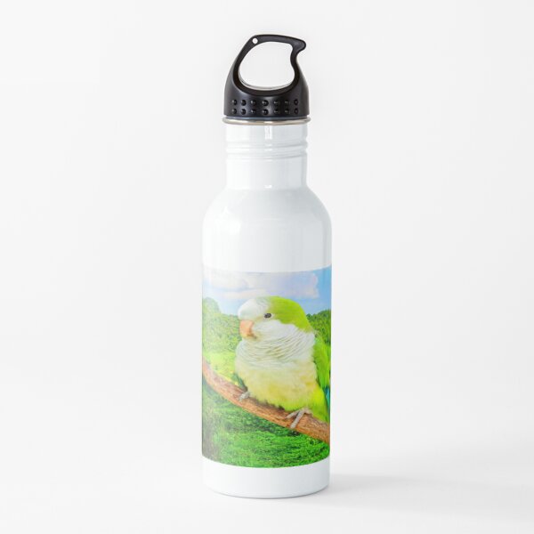 Monk Parakeet Water Bottle