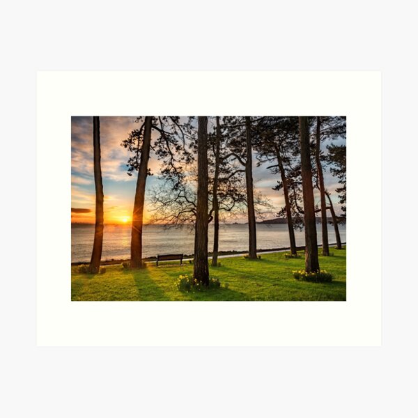 Item preview, Sunrise Through The Trees designed and sold by Dan Santillo.