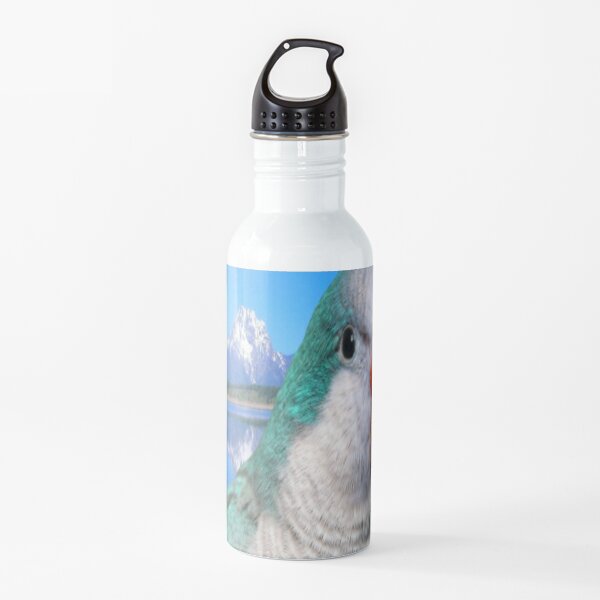 Monk Parakeet Water Bottle