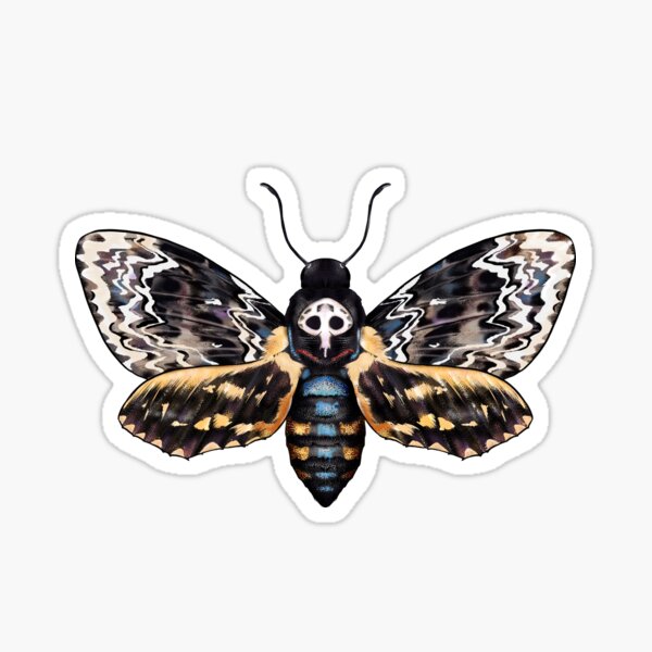 Skull Moth Sticker