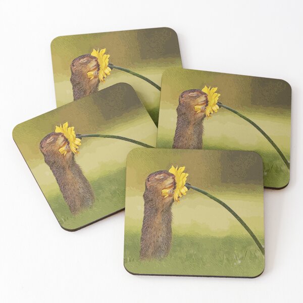 Item preview, Gopher y flor designed and sold by 6athed.
