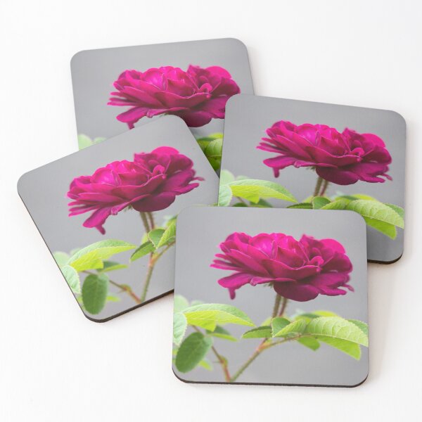 Item preview, Red Tuscany Superb Rose designed and sold by KarenWoodArt.