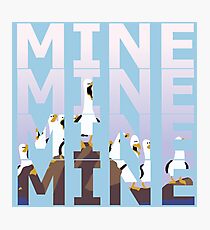 Lámina fotográfica Mine - gaviota