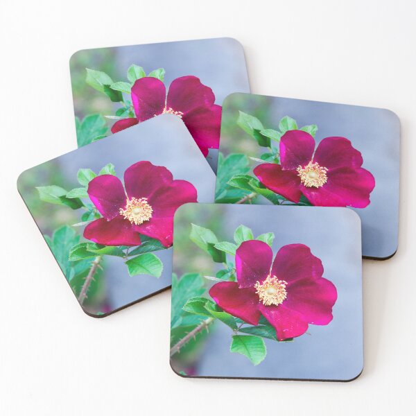 Item preview, Red Rose Ann Endt designed and sold by KarenWoodArt.