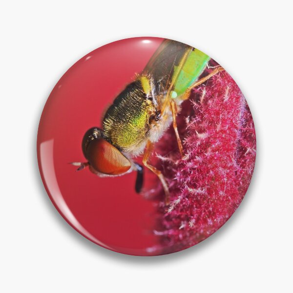 Item preview, Beautiful green fly on a red kangaroo paw plant designed and sold by hendrikspix.