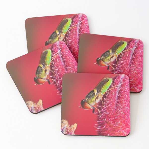 Item preview, Beautiful green fly on a red kangaroo paw plant designed and sold by hendrikspix.