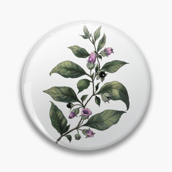 Item preview,  Belladonna. Deadly nightshade. Magical herbs  designed and sold by Sitenkovamary.