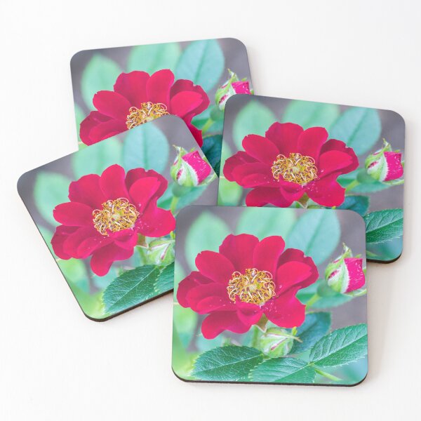 Item preview, Red Rose designed and sold by KarenWoodArt.