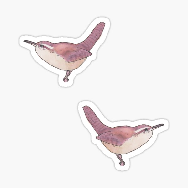 Item preview, Carolina Wren watercolor illustrated birds designed and sold by TheWaterBirds.