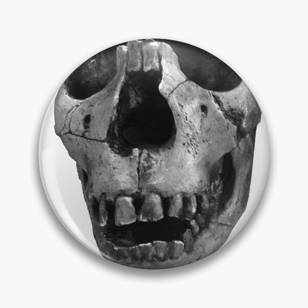 Item preview, Homo erectus 2 designed and sold by SnazzyScience.