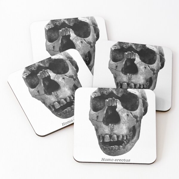 Item preview, Homo erectus 2 designed and sold by SnazzyScience.