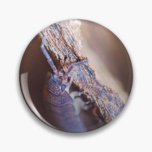 Item preview, Pillbug coming out of its hiding macro photo designed and sold by hendrikspix.