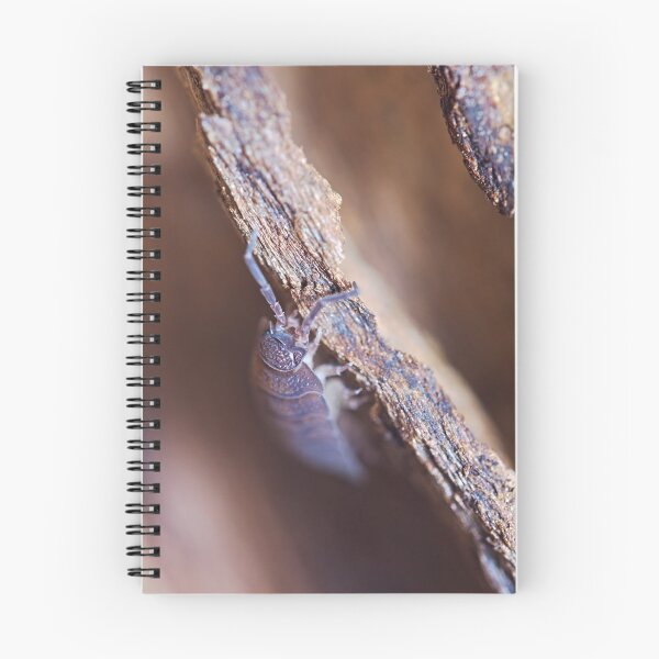 Item preview, Pillbug coming out of its hiding macro photo designed and sold by hendrikspix.