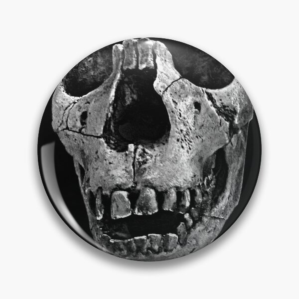 Item preview, Homo erectus 2 (black bg, sketchy style) designed and sold by SnazzyScience.
