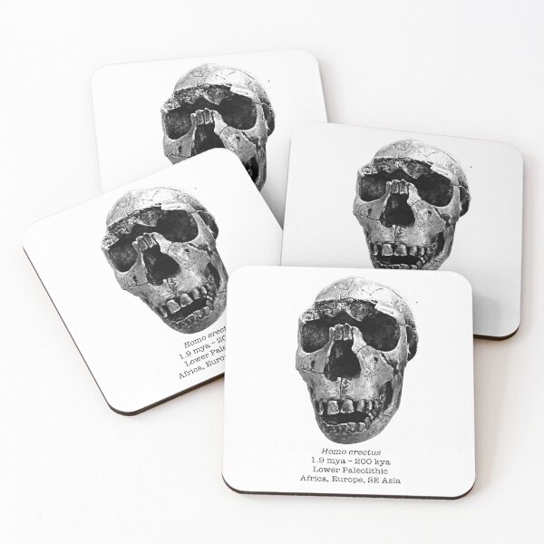 Item preview, Homo erectus 2 (sketchy style) designed and sold by SnazzyScience.
