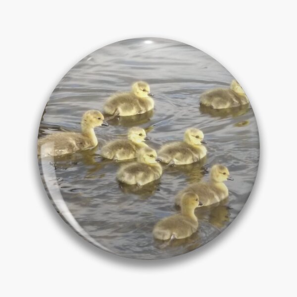 Item preview, Swimming lessons designed and sold by Joanne Babb.
