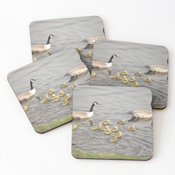 Item preview, Swimming lessons designed and sold by Joanne Babb.
