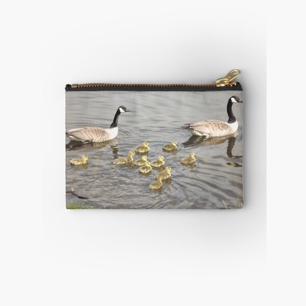 Item preview, Swimming lessons designed and sold by Joanne Babb.