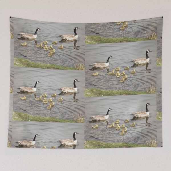 Item preview, Swimming lessons designed and sold by Joanne Babb.