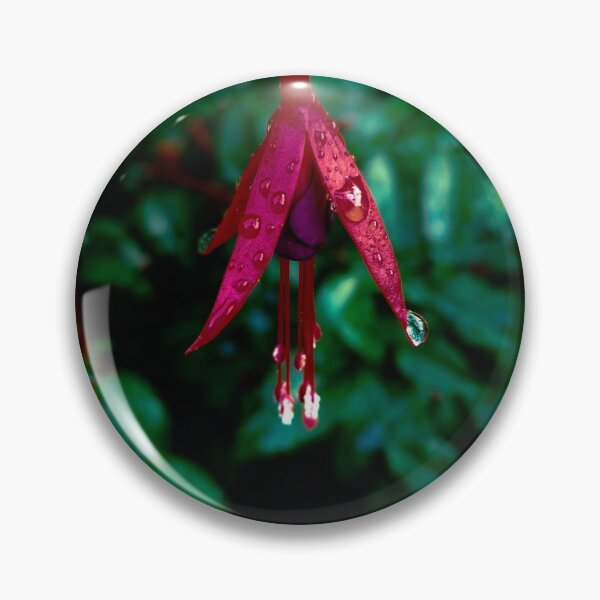 Artikelvorschau, Fuchsia Schoten entworfen und verkauft von MHStudio.