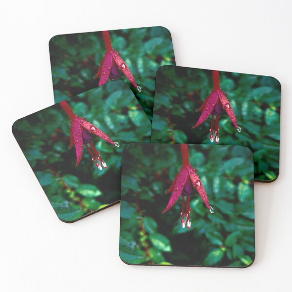 Artikelvorschau, Fuchsia Schoten entworfen und verkauft von MHStudio.