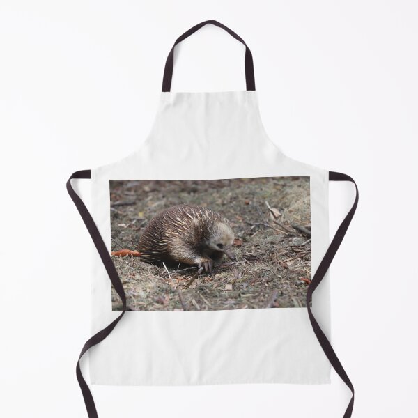 Item preview, Wild echidna photo - Tasmania designed and sold by Barrart Studio.