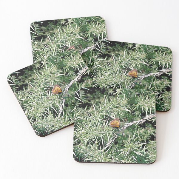 Item preview, Butterfly on Thorns designed and sold by Colin Bentham.