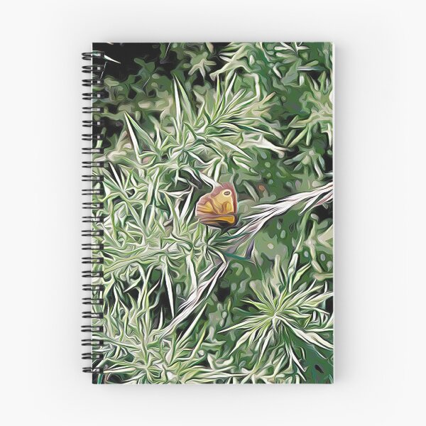 Item preview, Butterfly on Thorns designed and sold by Colin Bentham.