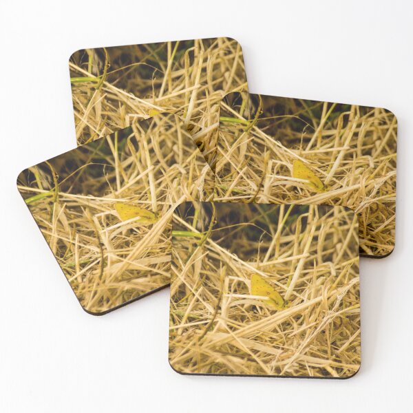 Item preview, gli butterfly yellow designed and sold by pcfyi.