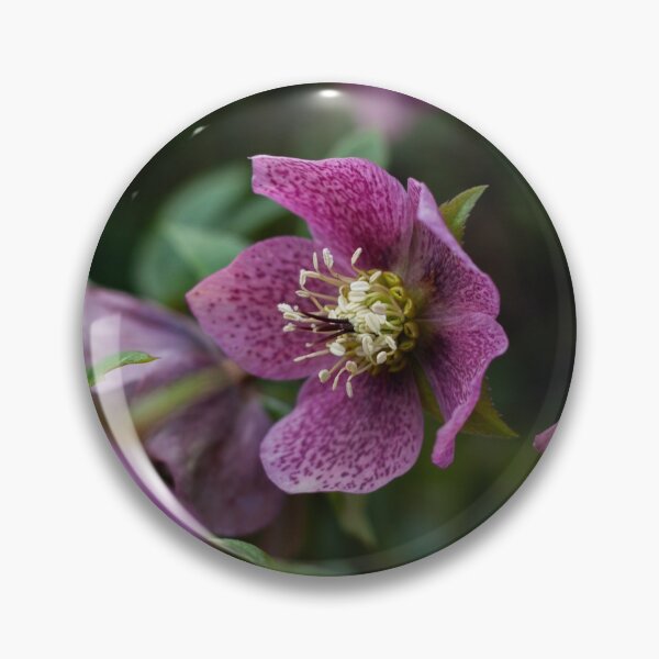 Item preview, Summer Flowers designed and sold by UltimateSammers.