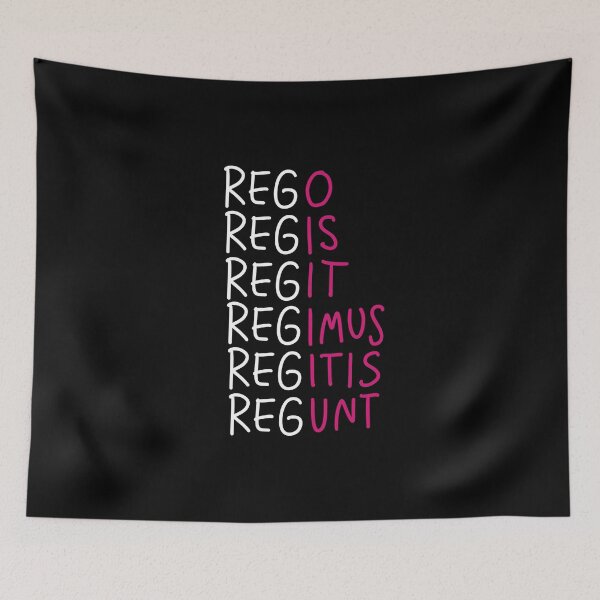 Item preview, Latin Verb Declensions designed and sold by HiddenVerb.