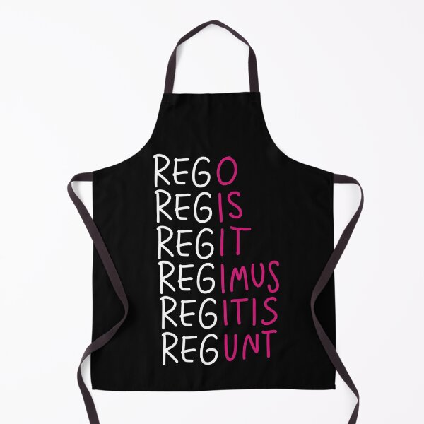 Item preview, Latin Verb Declensions designed and sold by HiddenVerb.