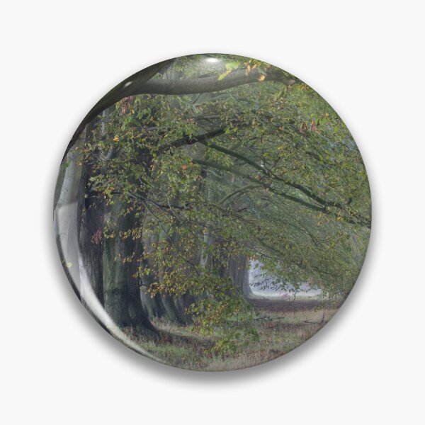 Item preview, Beech Trees designed and sold by Phil Buckle.