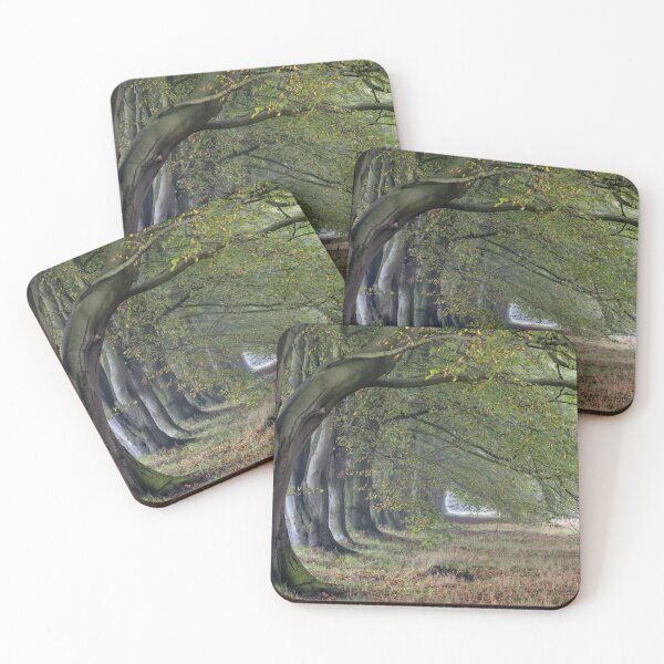 Item preview, Beech Trees designed and sold by Phil Buckle.