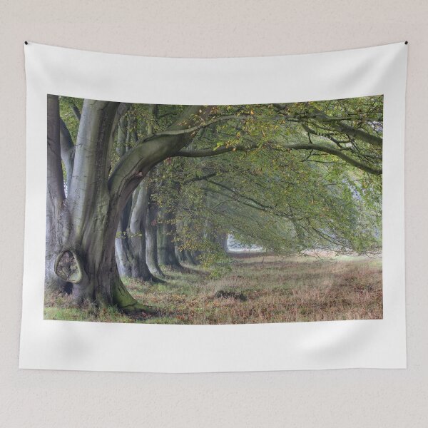 Item preview, Beech Trees designed and sold by Phil Buckle.