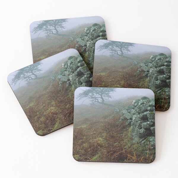 Item preview, Fog on Dartmoor National Park Devon. Luckily the drystone wall and hawthorn tree are just about visible!   designed and sold by Cameranick.
